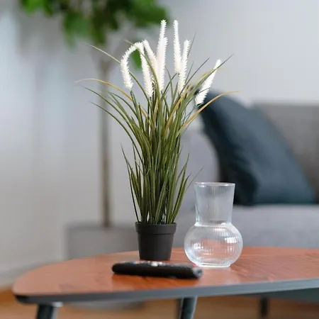 An Entire Spacious House Near To The Centre Tatil Evi *