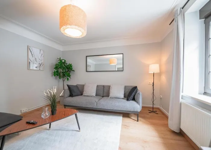 An Entire Spacious House Near To The Centre *