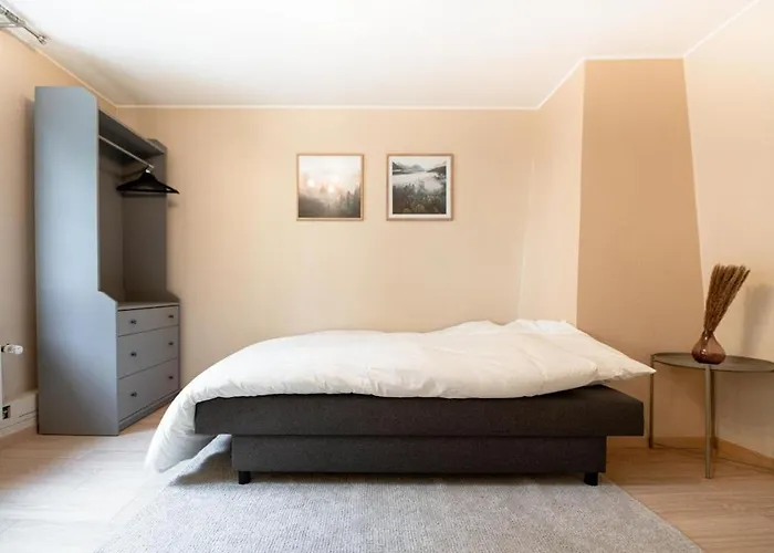 An Entire Spacious House Near To The Centre Holiday home *