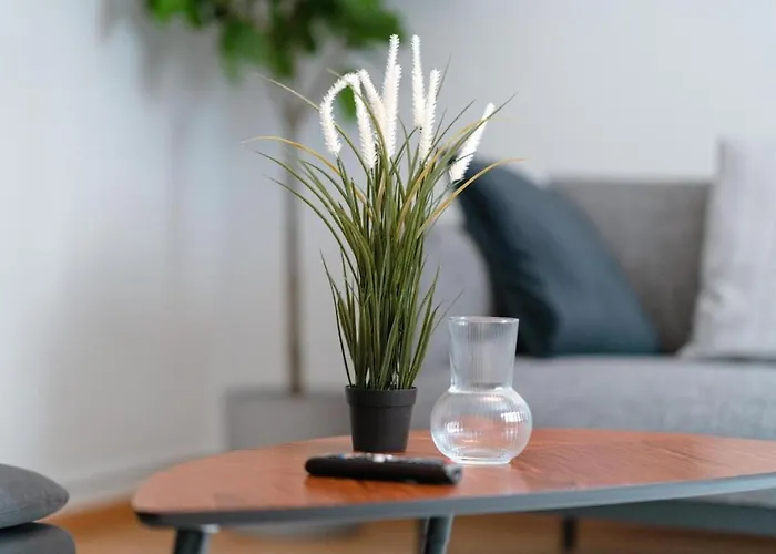 An Entire Spacious House Near To The Centre Holiday home *